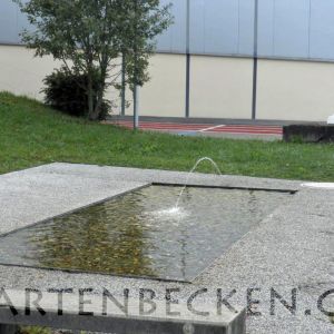 Gartenbecken 041